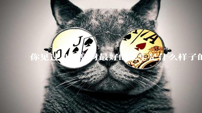 你见过身边身材最好的女生是什么样子的？